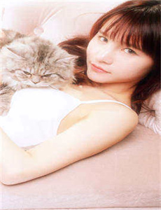 临时特工2006